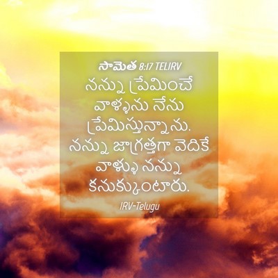Picture 04 - సామెత 8:17 TELIRV - నన్ను ప్రేమించే - Bible Verse Picture
