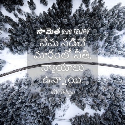 Picture 04 - సామెత 8:20 TELIRV - నేను నడిచే - Bible Verse Picture