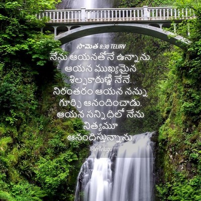 Picture 04 - సామెత 8:30 TELIRV - నేను ఆయనతోనే - Bible Verse Picture