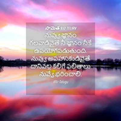 Picture 04 - సామెత 9:12 TELIRV - నువ్వు జ్ఞానం - Bible Verse Picture