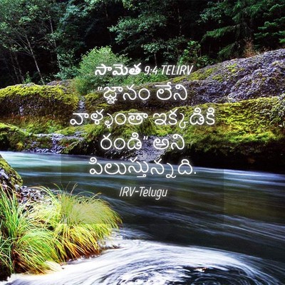 Picture 04 - సామెత 9:4 TELIRV - “జ్ఞానం లేని - Bible Verse Picture