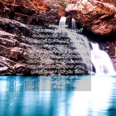 Picture 04 - హగ్గయి 1:1 TELIRV - రాజైన దర్యావేషు - Bible Verse Picture