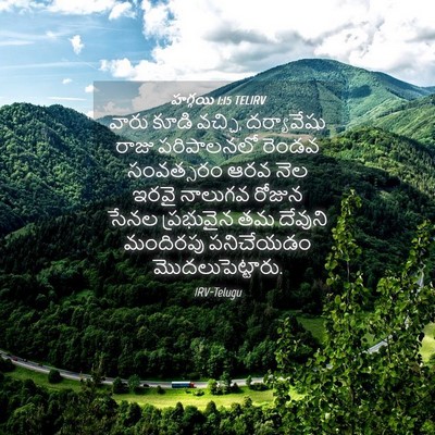 Picture 04 - హగ్గయి 1:15 TELIRV - వారు కూడి వచ్చి, - Bible Verse Picture