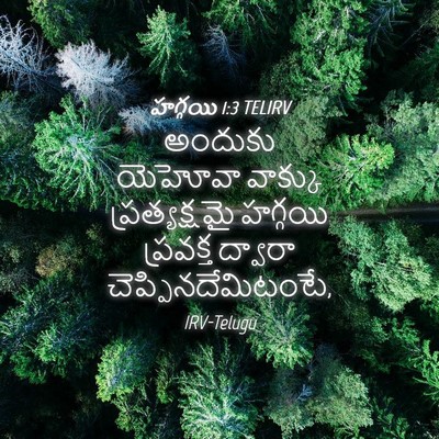 Picture 04 - హగ్గయి 1:3 TELIRV - అందుకు యెహోవా - Bible Verse Picture