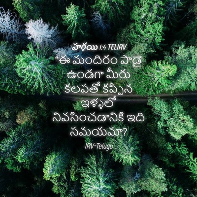 Picture 04 - హగ్గయి 1:4 TELIRV - “ఈ మందిరం పాడై - Bible Verse Picture