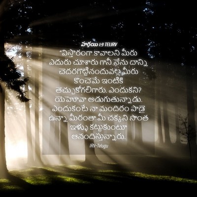 Picture 04 - హగ్గయి 1:9 TELIRV - “విస్తారంగా - Bible Verse Picture