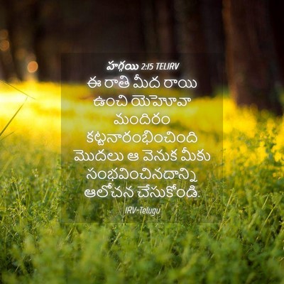 Picture 04 - హగ్గయి 2:15 TELIRV - ఈ రాతి మీద రాయి - Bible Verse Picture