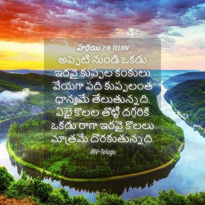 Picture 04 - హగ్గయి 2:16 TELIRV - అప్పటి నుండి ఒకడు - Bible Verse Picture