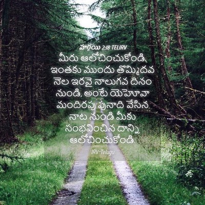 Picture 04 - హగ్గయి 2:18 TELIRV - మీరు - Bible Verse Picture