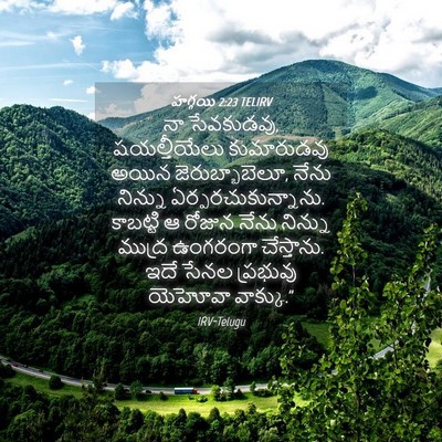 Picture 04 - హగ్గయి 2:23 TELIRV - నా సేవకుడవు, - Bible Verse Picture