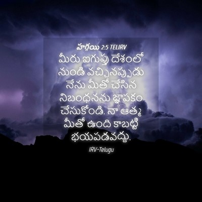 Picture 04 - హగ్గయి 2:5 TELIRV - మీరు ఐగుప్తు - Bible Verse Picture