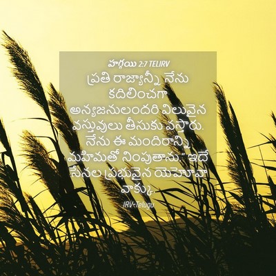 Picture 04 - హగ్గయి 2:7 TELIRV - ప్రతి రాజ్యాన్నీ - Bible Verse Picture