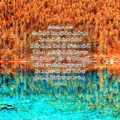 Picture 04 - హగ్గయి 2:9 TELIRV - ఈ చివరి మందిరం - Bible Verse Picture