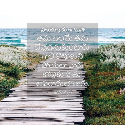 Picture 04 - హబక్కూకు 1:11 TELIRV - తమ బలమే తమ - Bible Verse Picture