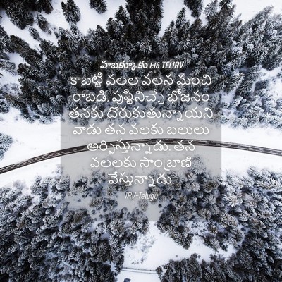 Picture 04 - హబక్కూకు 1:16 TELIRV - కాబట్టి వలల వలన - Bible Verse Picture