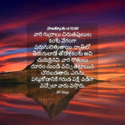 Picture 04 - హబక్కూకు 1:8 TELIRV - వారి గుర్రాలు - Bible Verse Picture