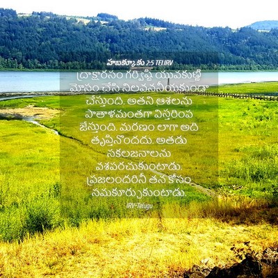 Picture 04 - హబక్కూకు 2:5 TELIRV - ద్రాక్షారసం - Bible Verse Picture