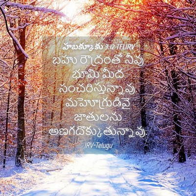 Picture 04 - హబక్కూకు 3:12 TELIRV - బహు రౌద్రంతో నీవు - Bible Verse Picture