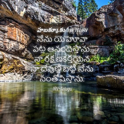 Picture 04 - హబక్కూకు 3:18 TELIRV - నేను యెహోవా పట్ల - Bible Verse Picture