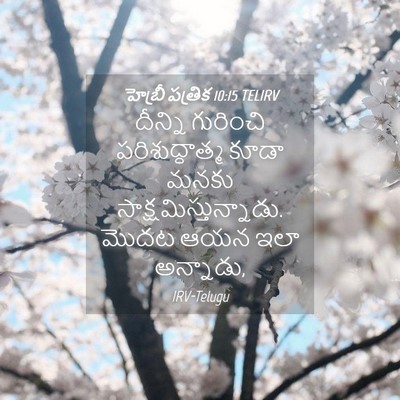 Picture 04 - హెబ్రీ పత్రిక 10:15 TELIRV - దీన్ని గురించి - Bible Verse Picture