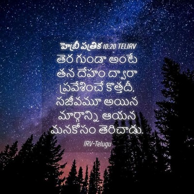 Picture 04 - హెబ్రీ పత్రిక 10:20 TELIRV - తెర గుండా అంటే తన - Bible Verse Picture