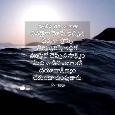Picture 04 - హెబ్రీ పత్రిక 10:28 TELIRV - ఎవడైనా మోషే - Bible Verse Picture