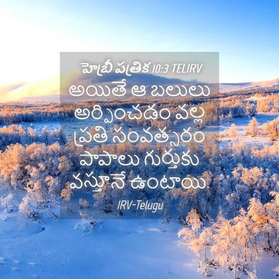 Picture 04 - హెబ్రీ పత్రిక 10:3 TELIRV - అయితే ఆ బలులు - Bible Verse Picture