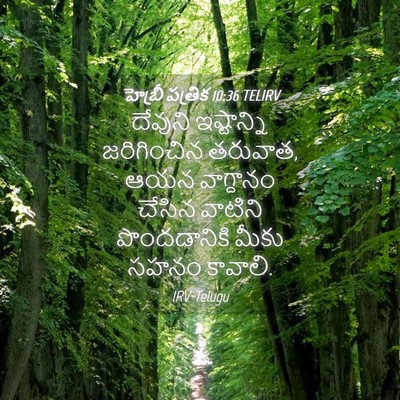 Picture 04 - హెబ్రీ పత్రిక 10:36 TELIRV - దేవుని ఇష్టాన్ని - Bible Verse Picture