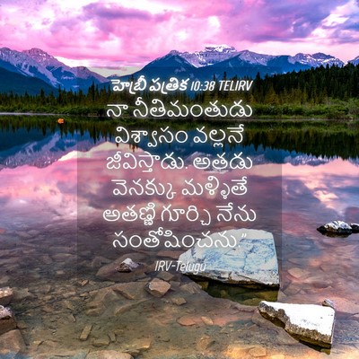 Picture 04 - హెబ్రీ పత్రిక 10:38 TELIRV - నా నీతిమంతుడు - Bible Verse Picture
