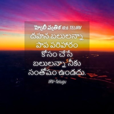 Picture 04 - హెబ్రీ పత్రిక 10:6 TELIRV - దహన బలులన్నా పాప - Bible Verse Picture