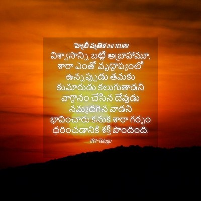 Picture 04 - హెబ్రీ పత్రిక 11:11 TELIRV - విశ్వాసాన్ని - Bible Verse Picture