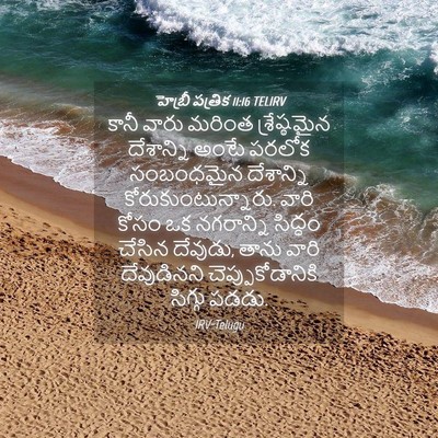 Picture 04 - హెబ్రీ పత్రిక 11:16 TELIRV - కానీ వారు మరింత - Bible Verse Picture
