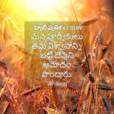Picture 04 - హెబ్రీ పత్రిక 11:2 TELIRV - మన పూర్వీకులు తమ - Bible Verse Picture