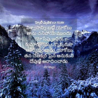 Picture 04 - హెబ్రీ పత్రిక 11:21 TELIRV - విశ్వాసాన్ని - Bible Verse Picture