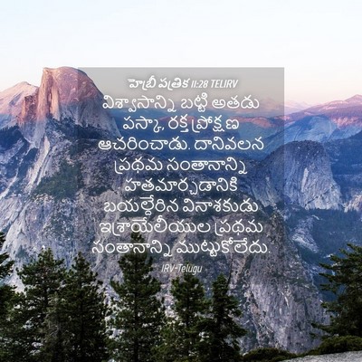 Picture 04 - హెబ్రీ పత్రిక 11:28 TELIRV - విశ్వాసాన్ని - Bible Verse Picture