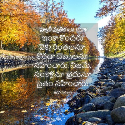 Picture 04 - హెబ్రీ పత్రిక 11:36 TELIRV - ఇంకా కొందరు - Bible Verse Picture