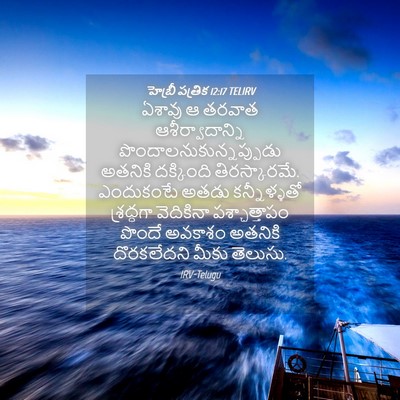 Picture 04 - హెబ్రీ పత్రిక 12:17 TELIRV - ఏశావు ఆ తరవాత - Bible Verse Picture