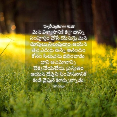 Picture 04 - హెబ్రీ పత్రిక 12:2 TELIRV - మన విశ్వాసానికి - Bible Verse Picture