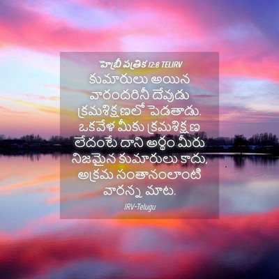 Picture 04 - హెబ్రీ పత్రిక 12:8 TELIRV - కుమారులు అయిన - Bible Verse Picture