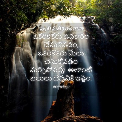 Picture 04 - హెబ్రీ పత్రిక 13:16 TELIRV - ఒకరికొకరు ఉపకారం - Bible Verse Picture