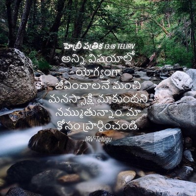 Picture 04 - హెబ్రీ పత్రిక 13:18 TELIRV - అన్ని విషయాల్లో - Bible Verse Picture