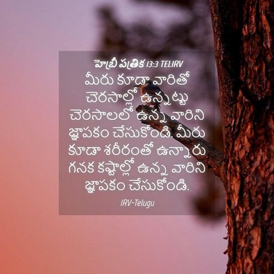 Picture 04 - హెబ్రీ పత్రిక 13:3 TELIRV - మీరు కూడా వారితో - Bible Verse Picture