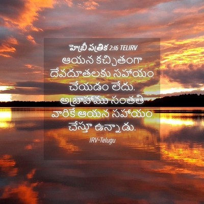 Picture 04 - హెబ్రీ పత్రిక 2:16 TELIRV - ఆయన కచ్చితంగా - Bible Verse Picture