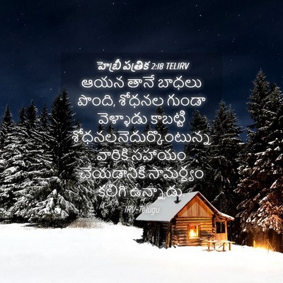 Picture 04 - హెబ్రీ పత్రిక 2:18 TELIRV - ఆయన తానే బాధలు - Bible Verse Picture