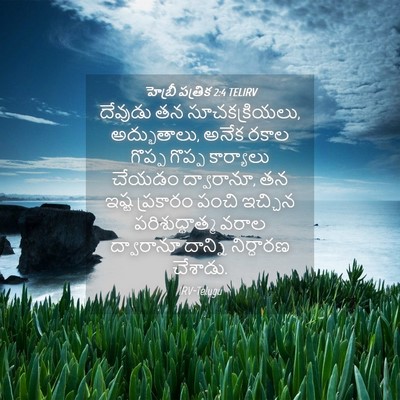 Picture 04 - హెబ్రీ పత్రిక 2:4 TELIRV - దేవుడు తన - Bible Verse Picture