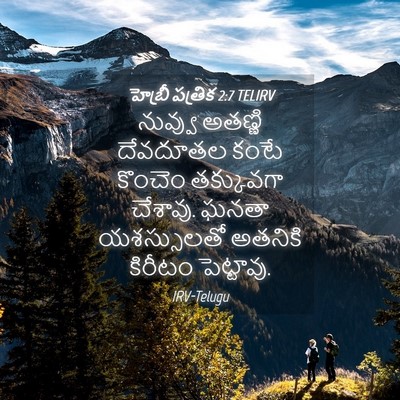 Picture 04 - హెబ్రీ పత్రిక 2:7 TELIRV - నువ్వు అతణ్ణి - Bible Verse Picture