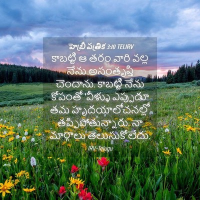 Picture 04 - హెబ్రీ పత్రిక 3:10 TELIRV - కాబట్టి ఆ తరం వారి - Bible Verse Picture