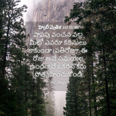 Picture 04 - హెబ్రీ పత్రిక 3:13 TELIRV - పాపపు వంచన వల్ల - Bible Verse Picture
