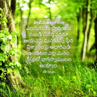 Picture 04 - హెబ్రీ పత్రిక 3:14 TELIRV - ఎందుకంటే ప్రారంభం - Bible Verse Picture
