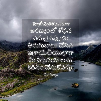 Picture 04 - హెబ్రీ పత్రిక 3:8 TELIRV - అరణ్యంలో శోధన - Bible Verse Picture